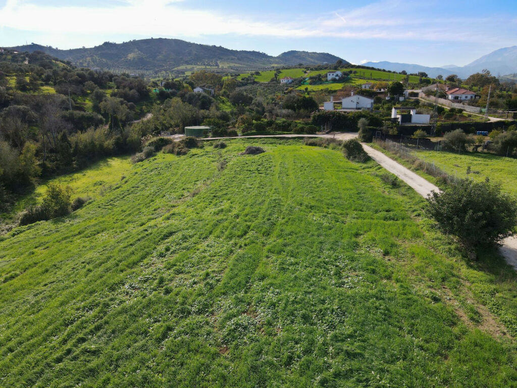 Finca - Cortijo Coín Málaga - image 11