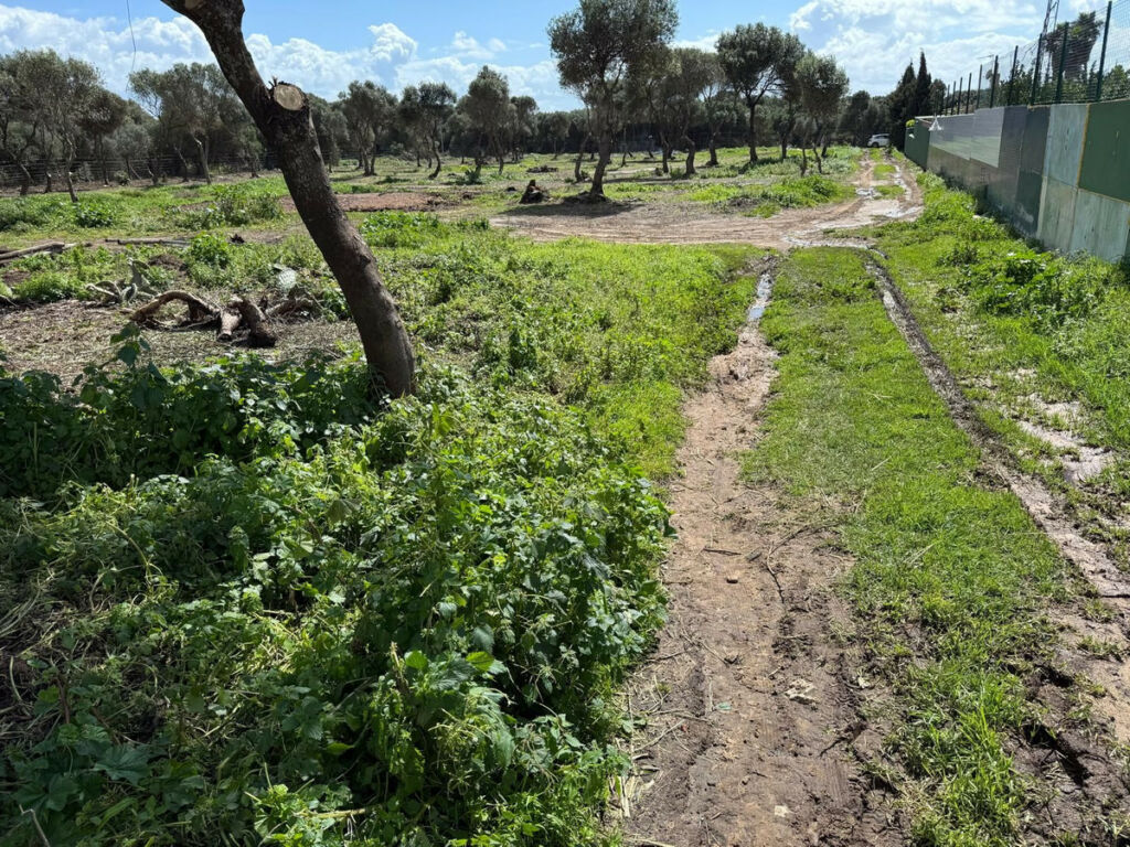Land Tarifa Cádiz - image 13