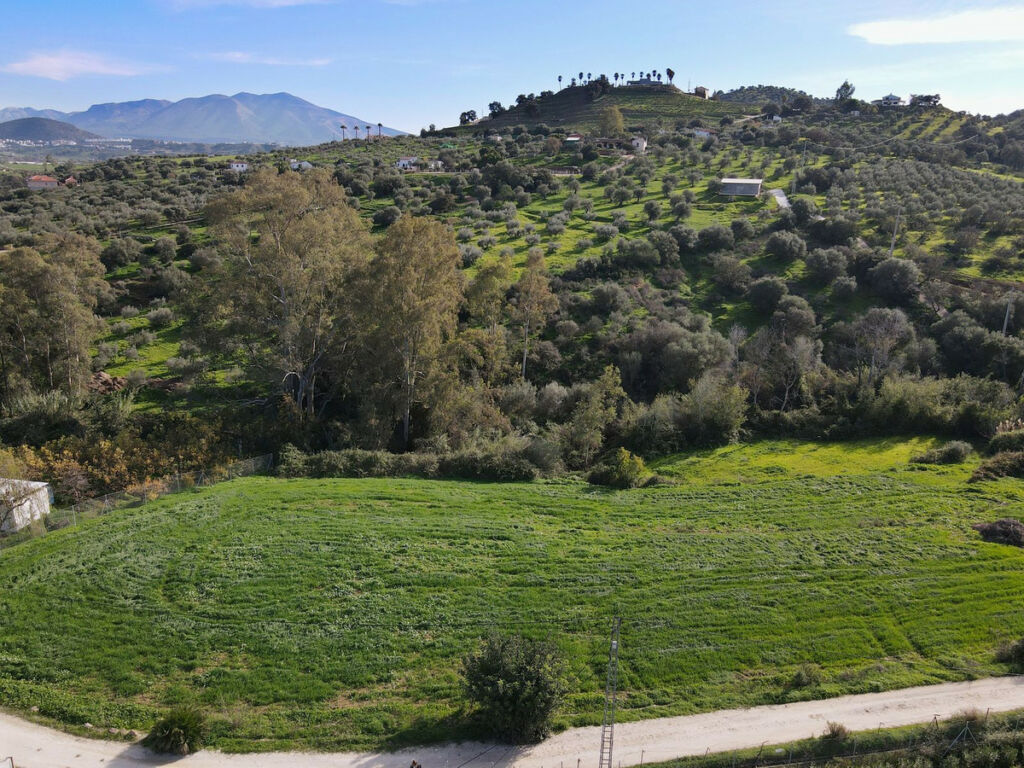 Finca - Cortijo Coín Málaga - image 13