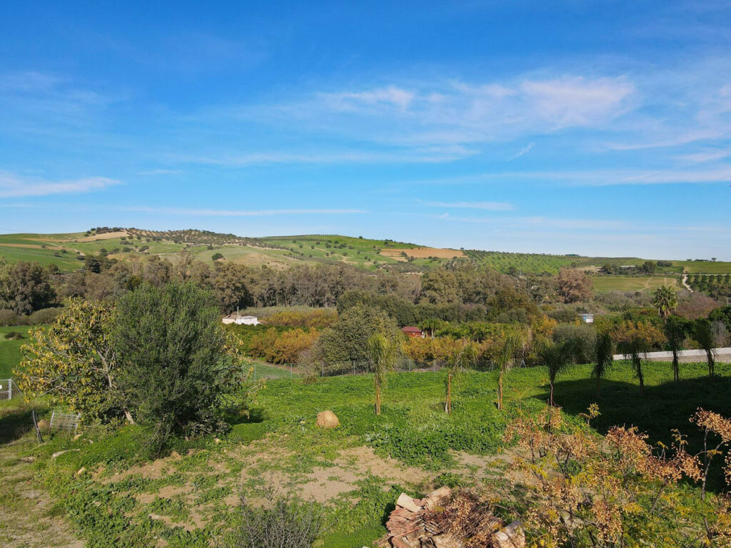 Finca - Cortijo Coín Málaga - image 16