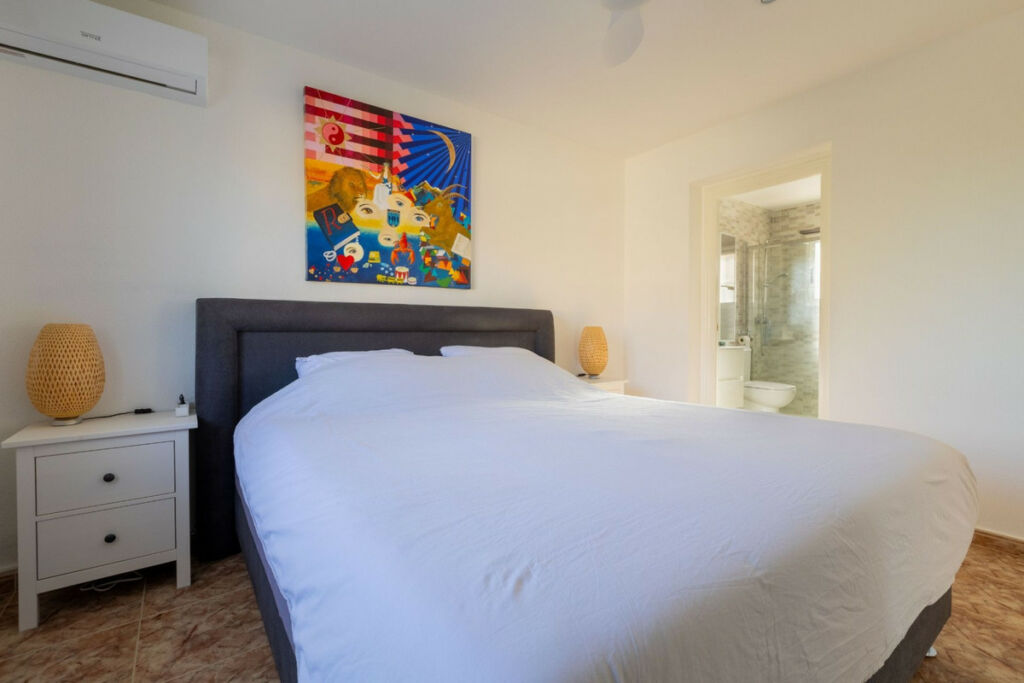 Detached Villa Benijofar Alicante - image 17