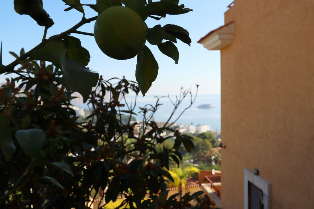 Detached Villa Altea Alicante - image 18