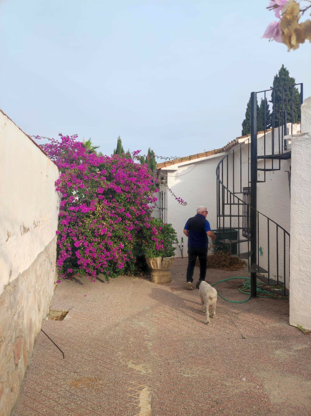 Detached Villa Mijas Málaga - image 18