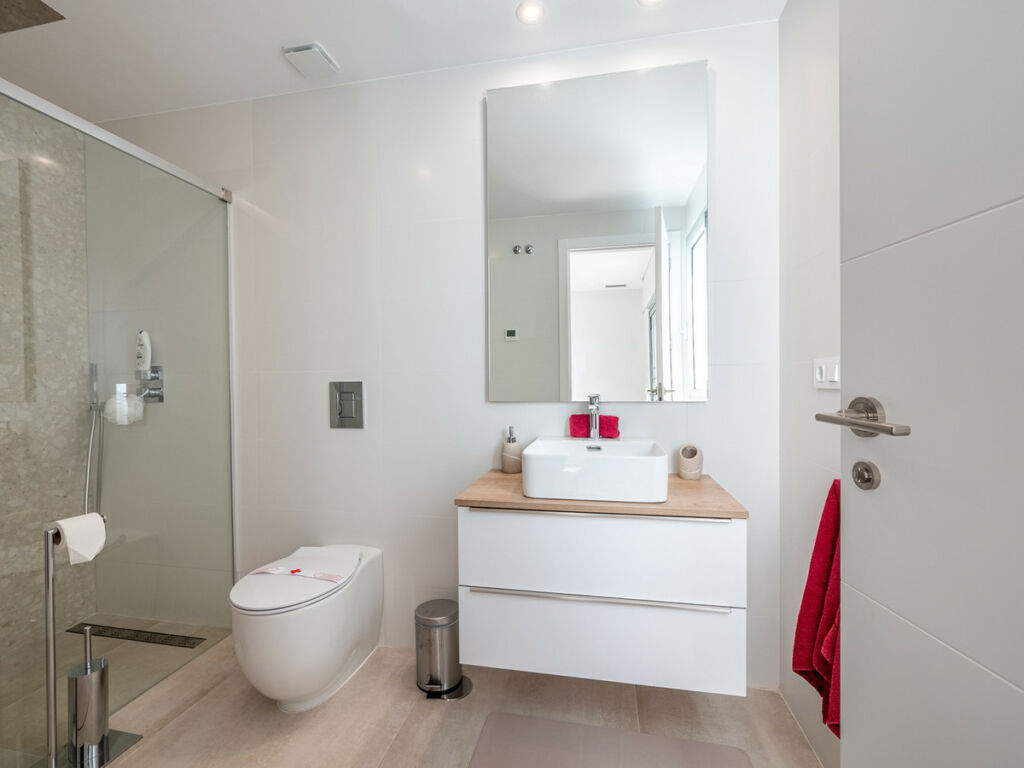Detached Villa Algorfa Alicante - image 18