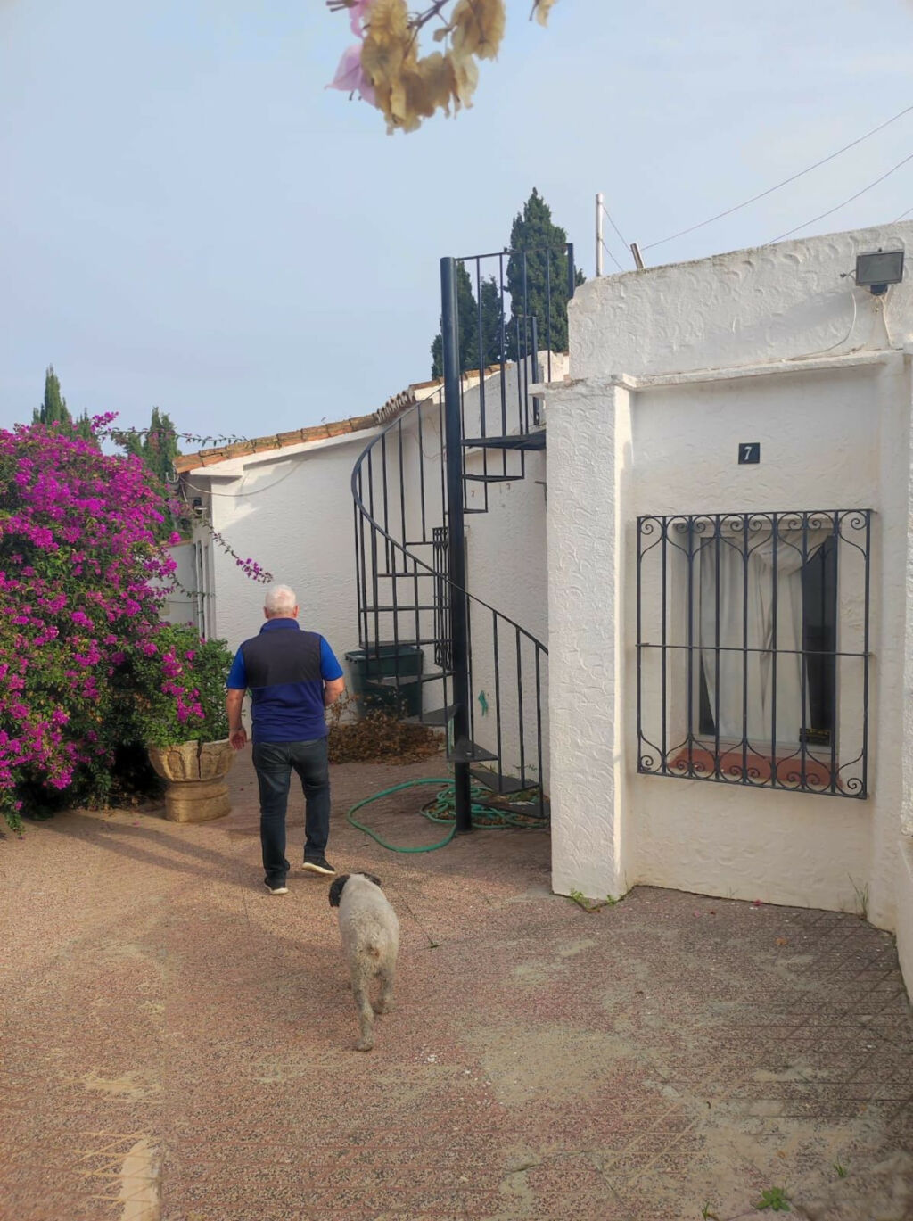 Detached Villa Mijas Málaga - image 19