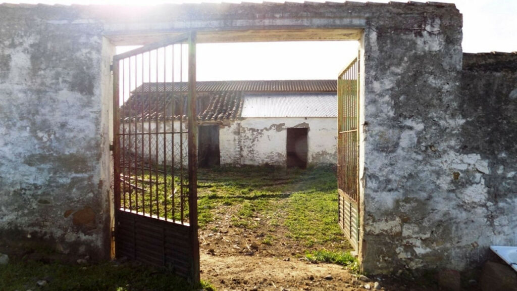 Land with Ruin Coín Málaga - image 17