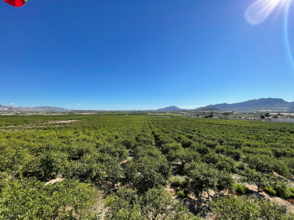 Detached Villa Murcia City Murcia - image 2