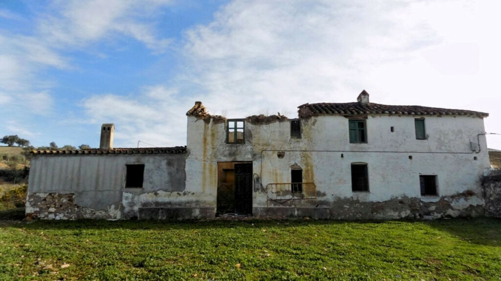 Land with Ruin Coín Málaga - image 19