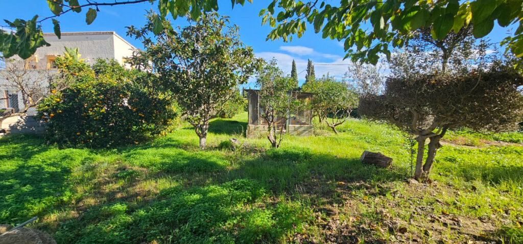 Detached Villa Javea Alicante - image 24