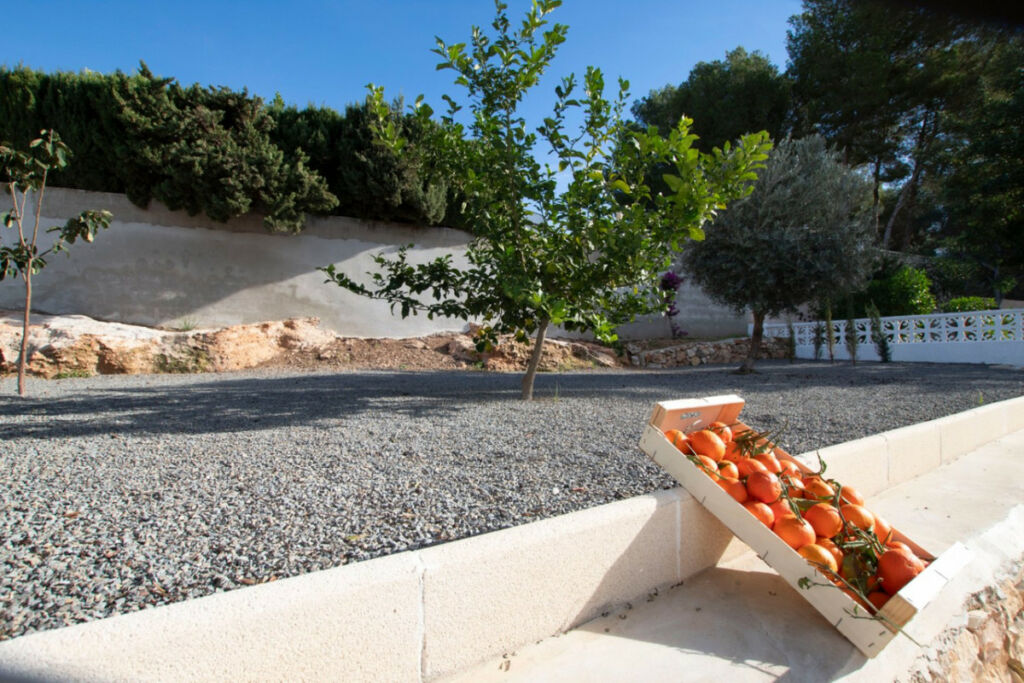 Detached Villa La Fustera Alicante - image 27