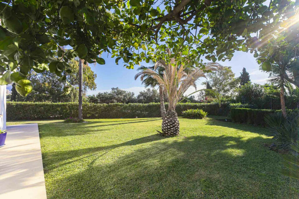 Detached Villa San Pedro de Alcántara Málaga - image 22