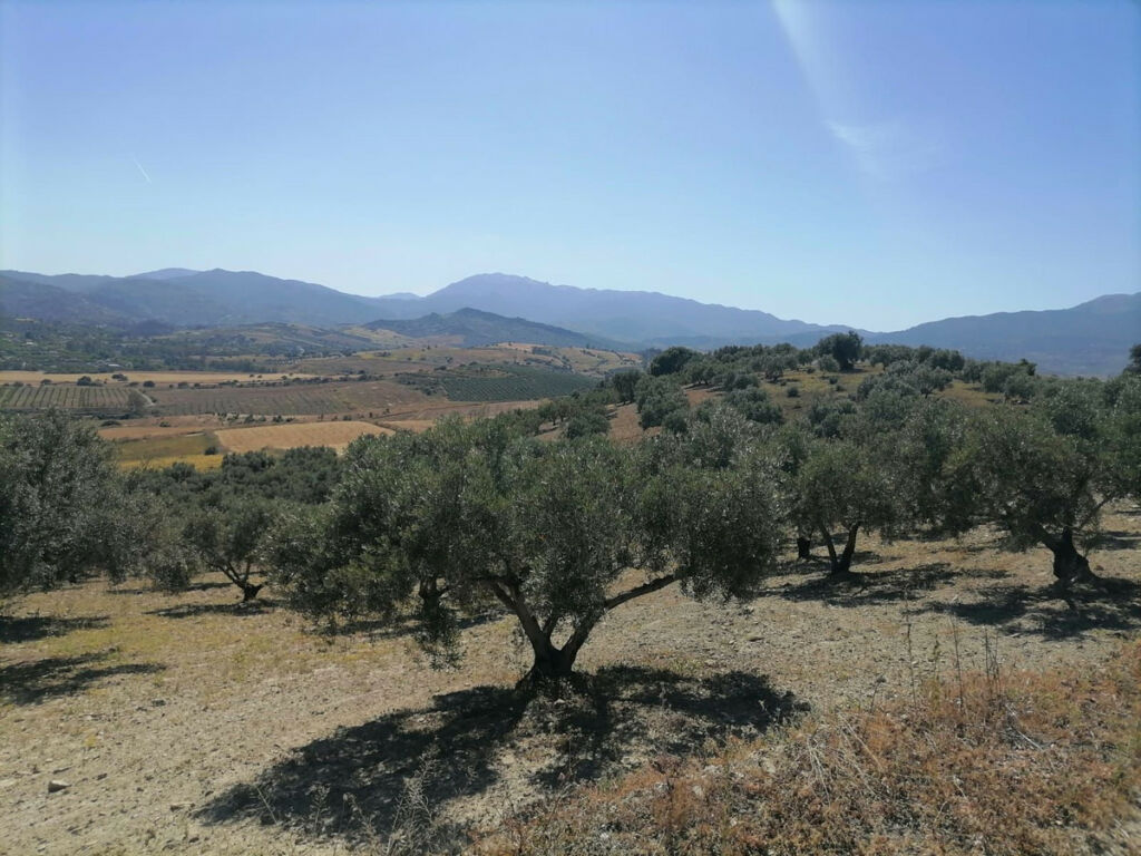 Land Coín Málaga - image 3