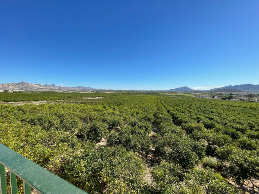 Detached Villa Murcia City Murcia - image 3