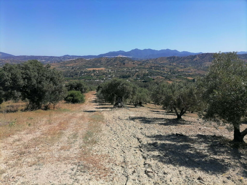 Land Coín Málaga - image 4