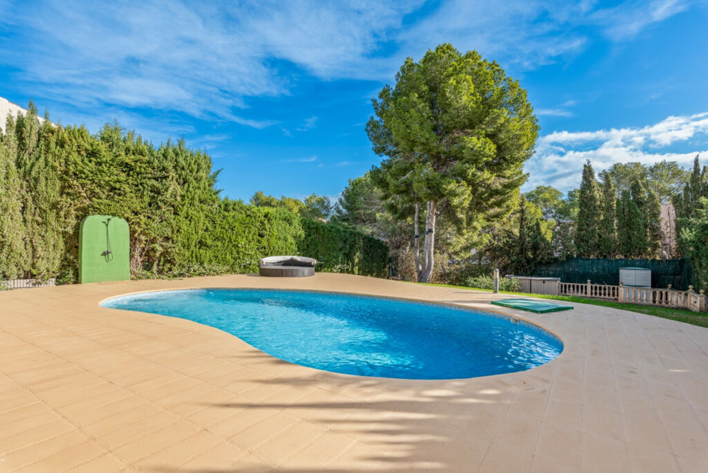 Detached Villa Los Balcones Alicante - image 4