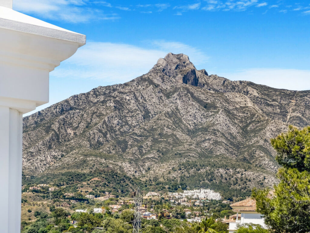 Detached Villa The Golden Mile Málaga - image 59