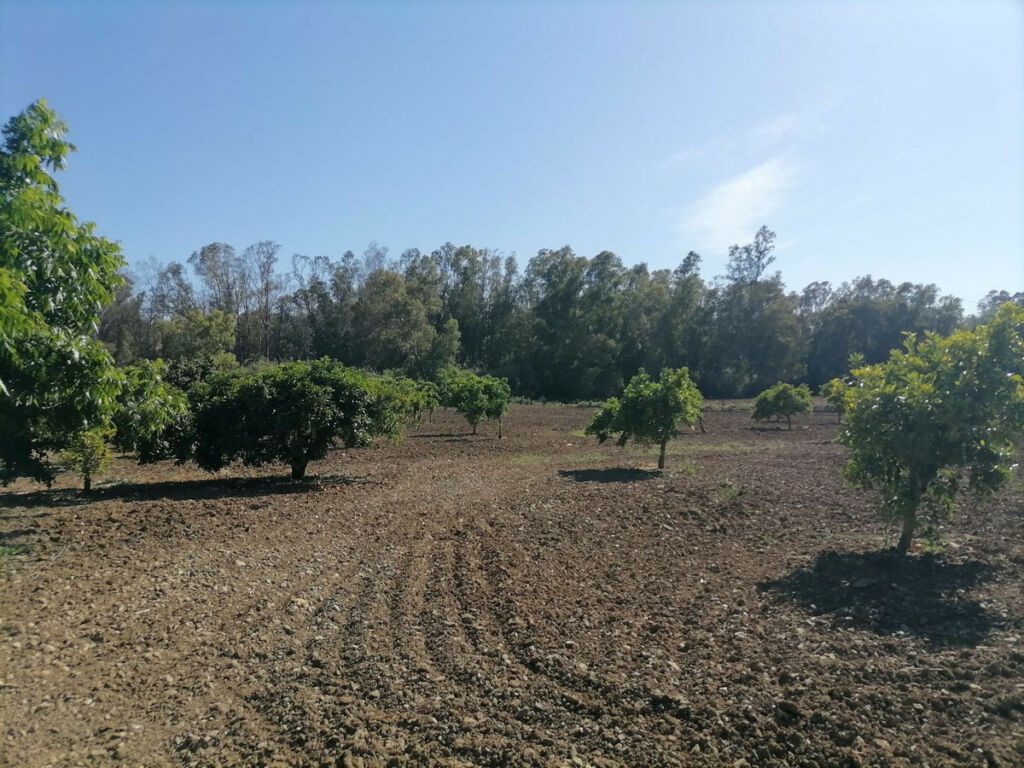 Land Coín Málaga - image 45