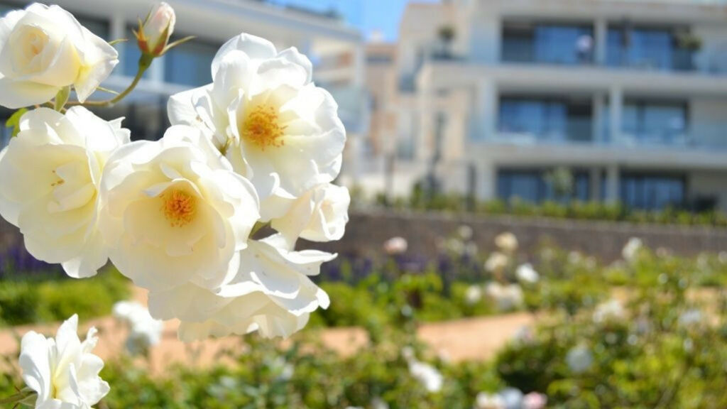 Ground Floor Apartment Fuengirola Málaga - image 46
