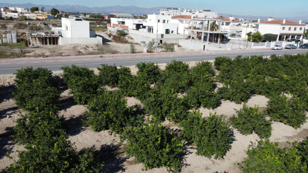 Semi-Detached House Daya Nueva Alicante - image 46