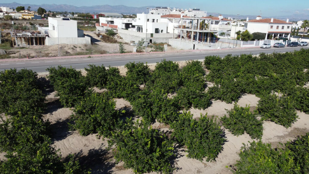 Semi-Detached House Daya Nueva Alicante - image 47