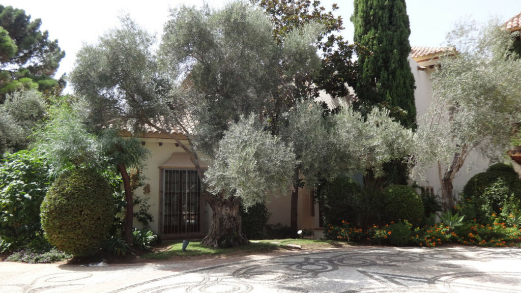 Detached Villa La Zagaleta Málaga - image 48