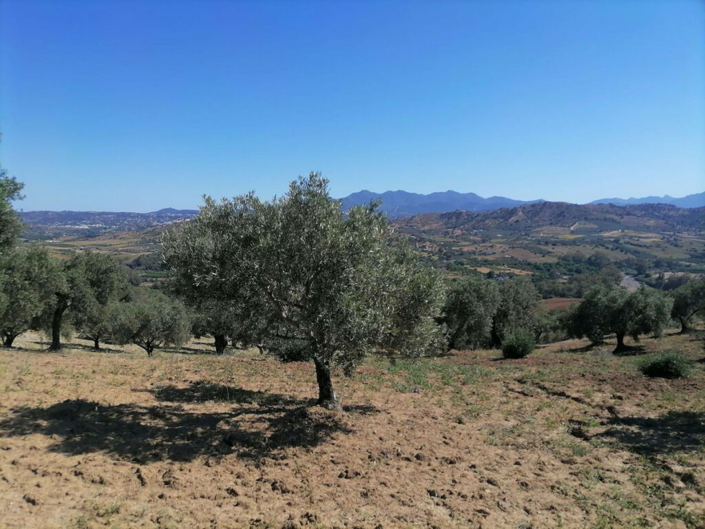 Land Coín Málaga - image 6