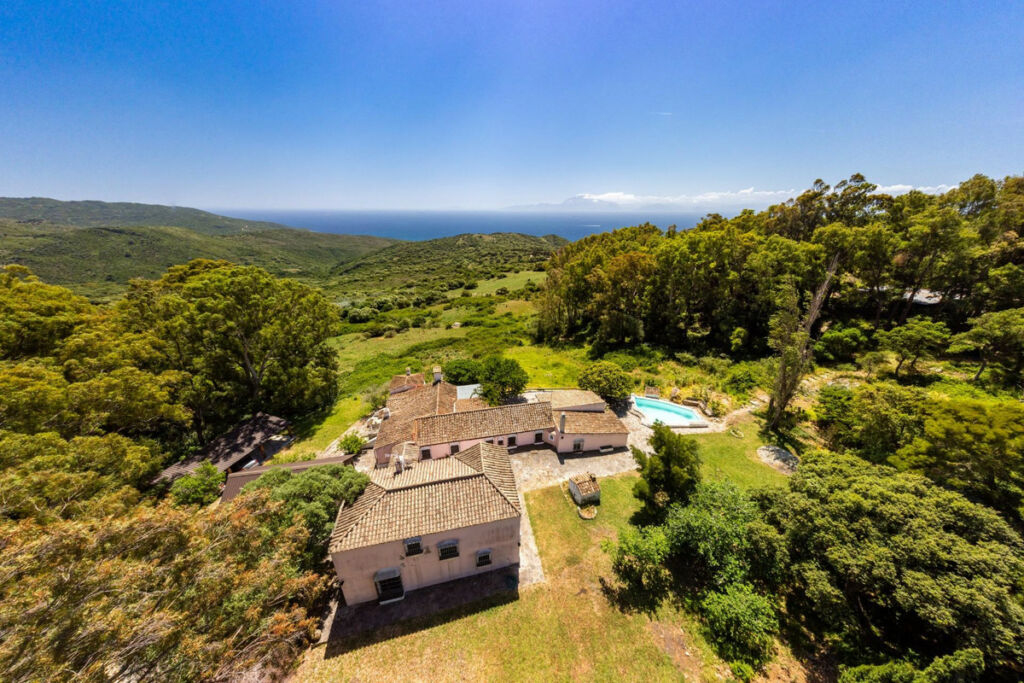 Finca - Cortijo Tarifa Cádiz - image 6
