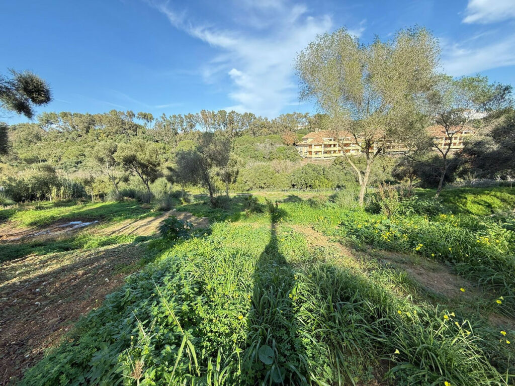 Residential Plot Sotogrande Cádiz - image 7