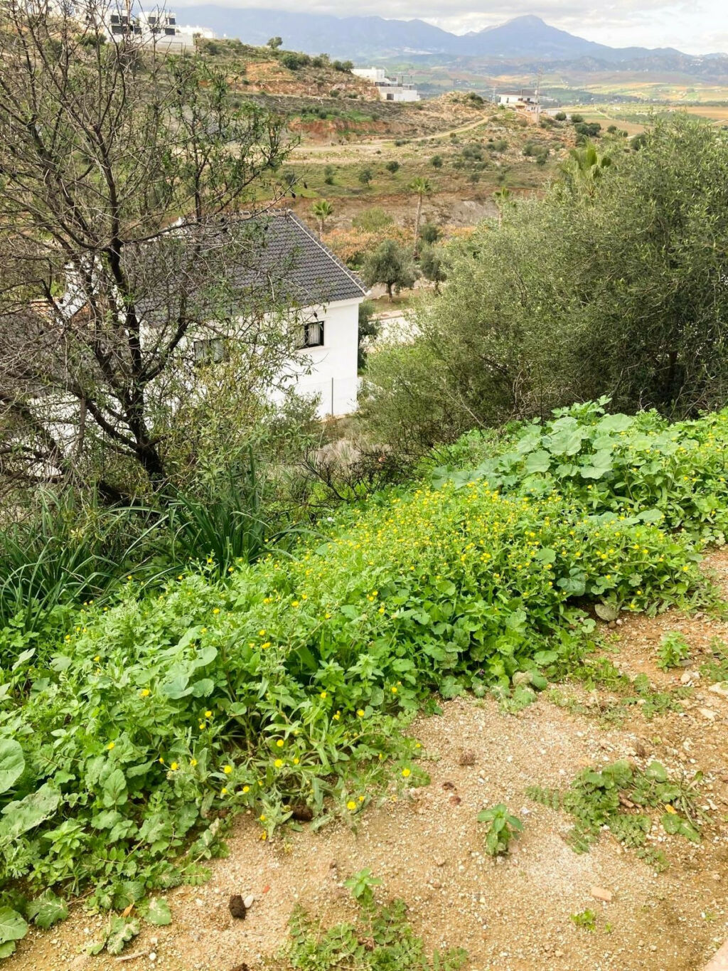Residential Plot Coín Málaga - image 7