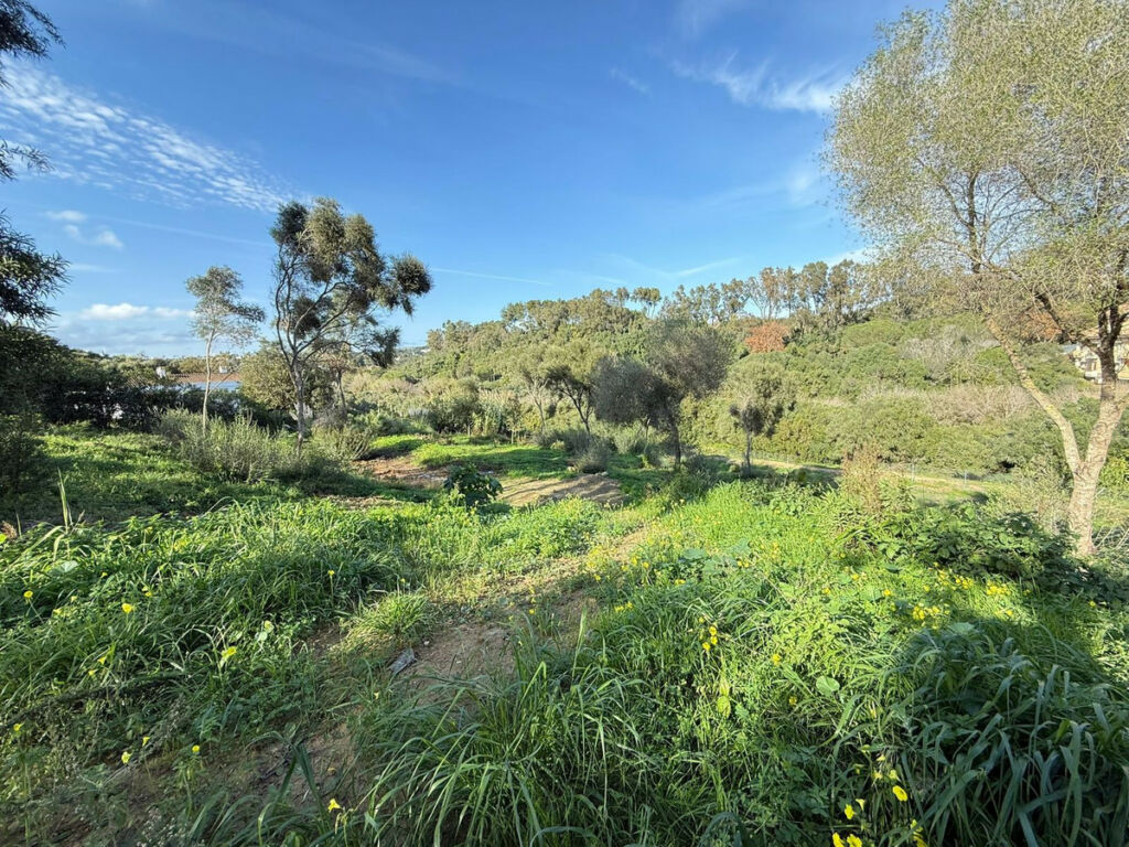Residential Plot Sotogrande Cádiz - image 8
