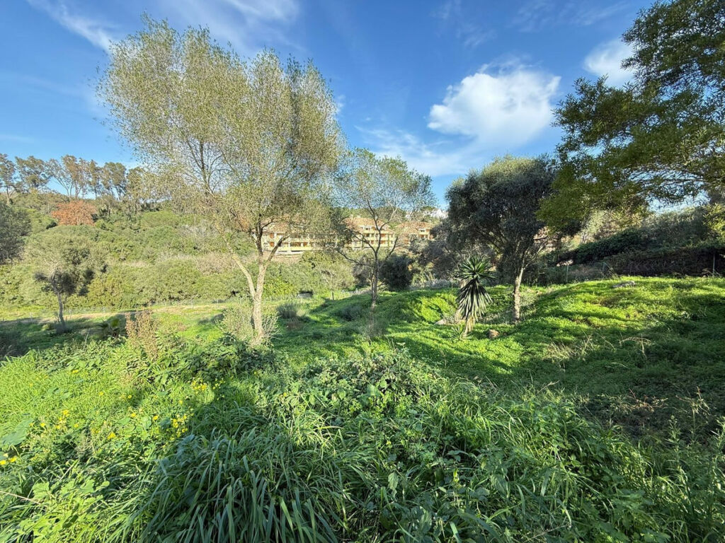 Residential Plot Sotogrande Cádiz - image 9