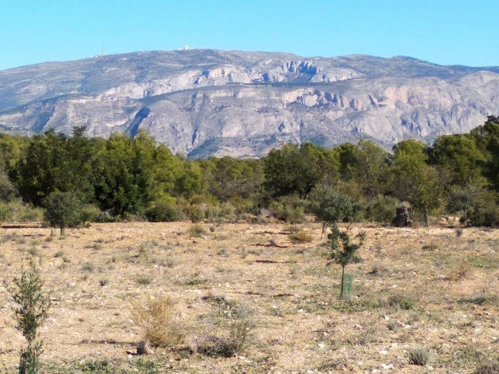 Land Relleu Alicante