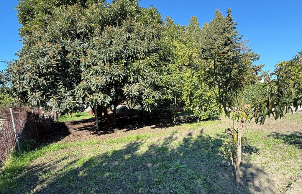 Land San Pedro de Alcántara Málaga - image 10