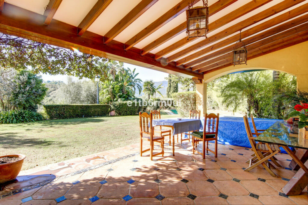 Finca - Cortijo Ojén Málaga - image 10