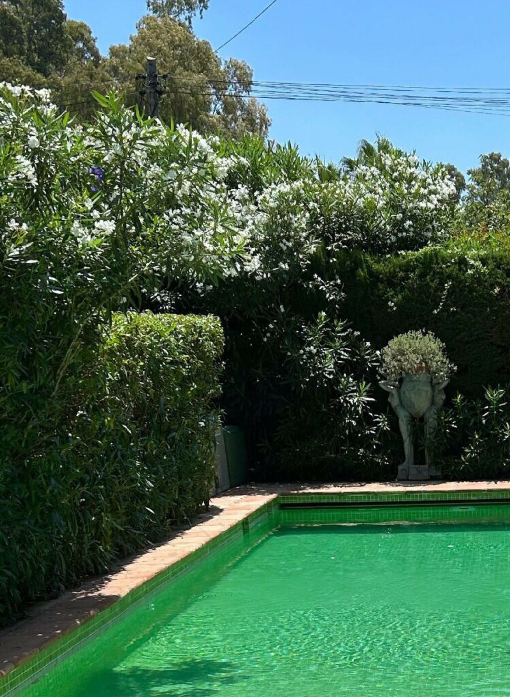 Detached Villa San Pedro de Alcántara Málaga - image 19
