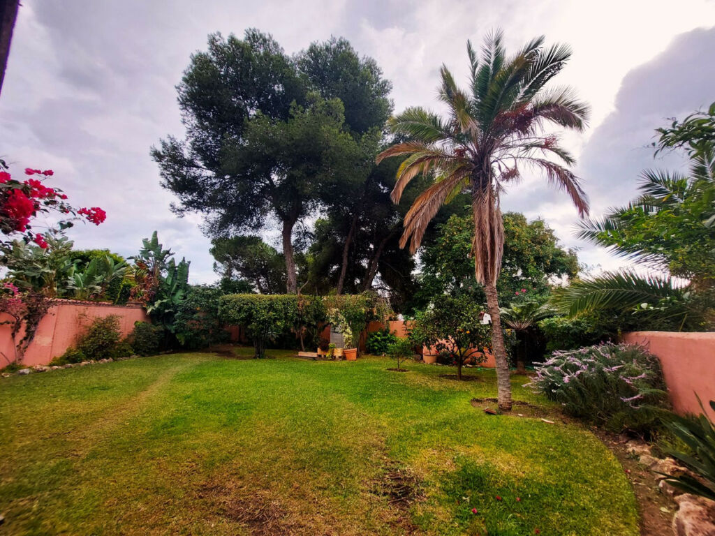 Detached Villa Cancelada Málaga - image 10