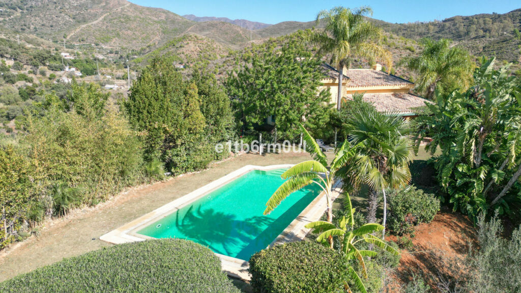 Finca - Cortijo Ojén Málaga - image 11
