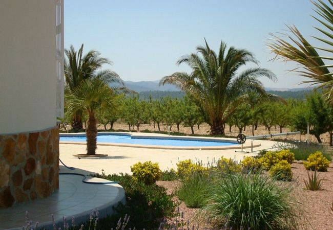 Detached Villa Aspe Alicante - image 11