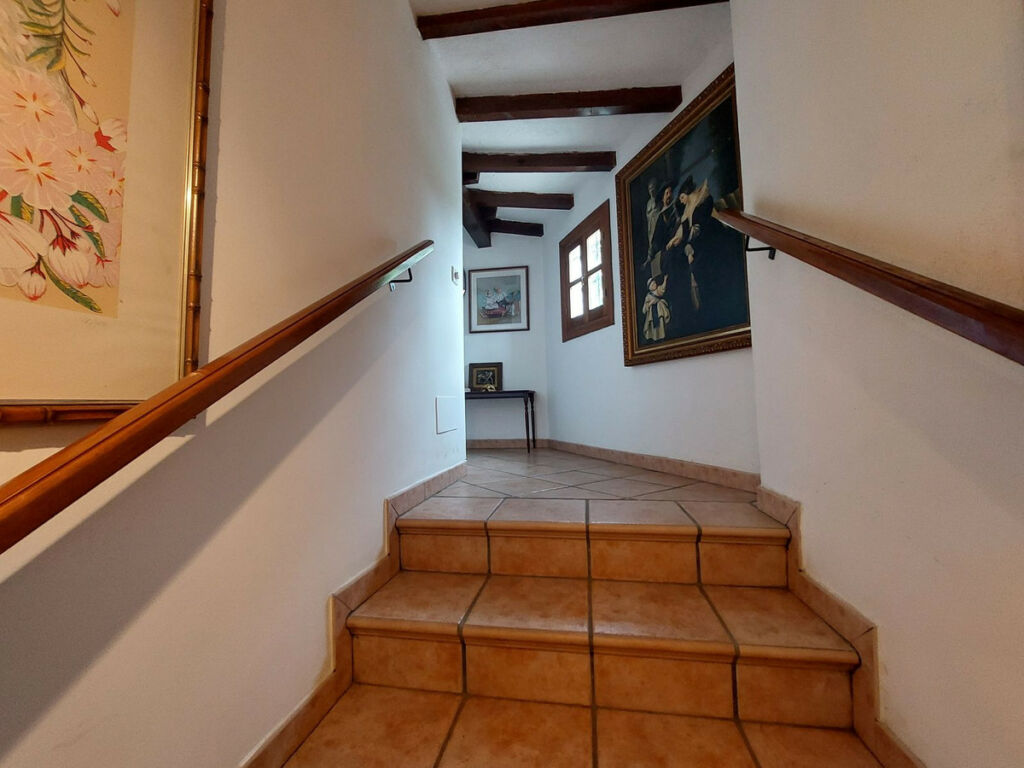 Detached Villa Cancelada Málaga - image 11