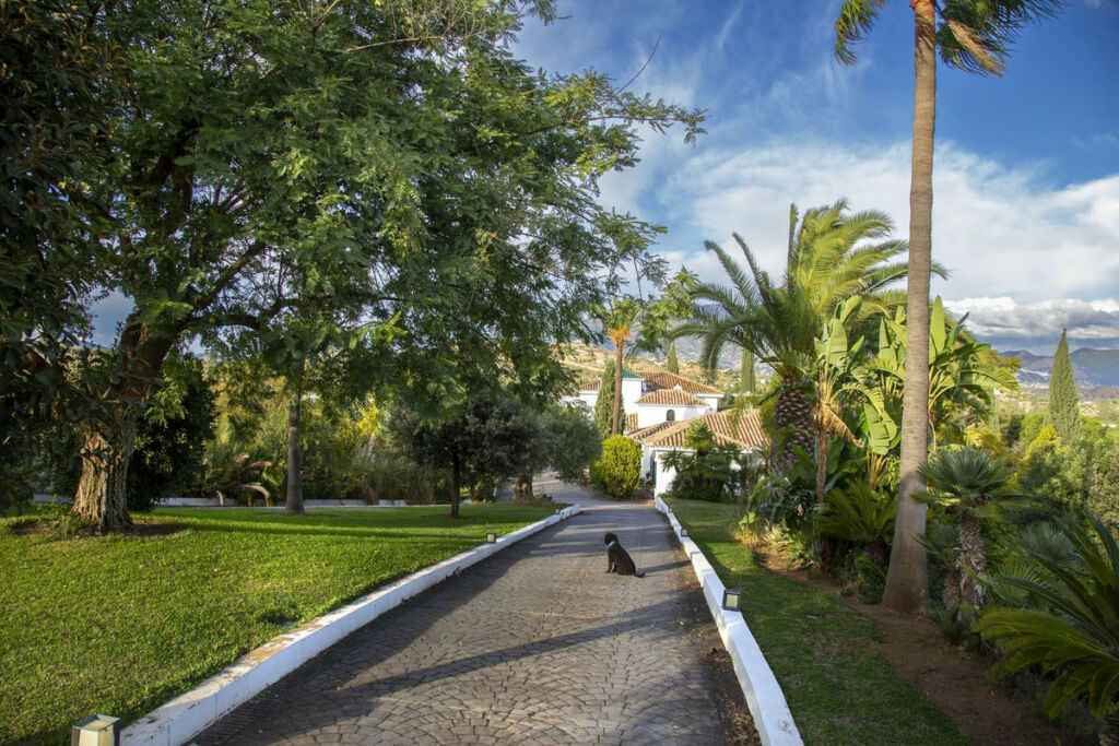 Detached Villa La Cala Golf Málaga - image 114