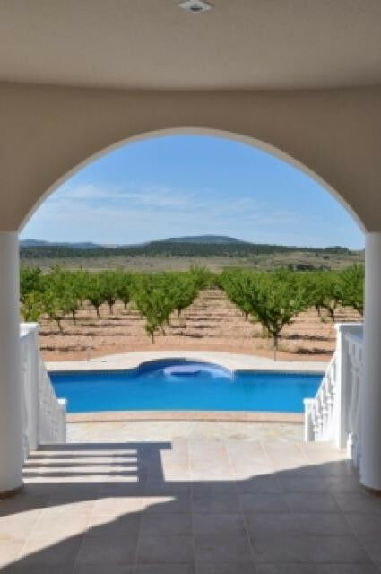 Detached Villa Aspe Alicante - image 12