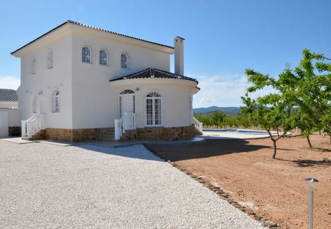 Detached Villa Aspe Alicante - image 13