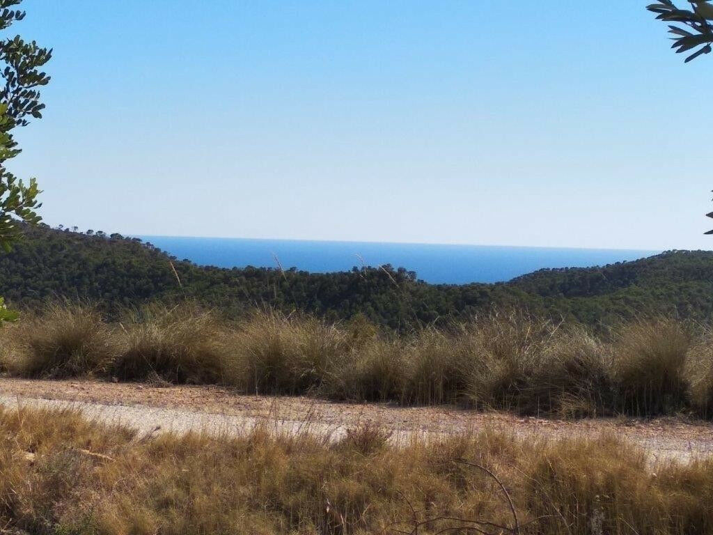 Land Relleu Alicante - image 15