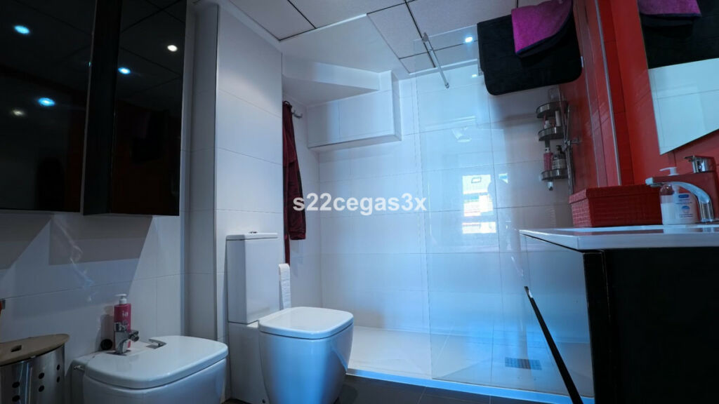 Penthouse Elda Alicante - image 15
