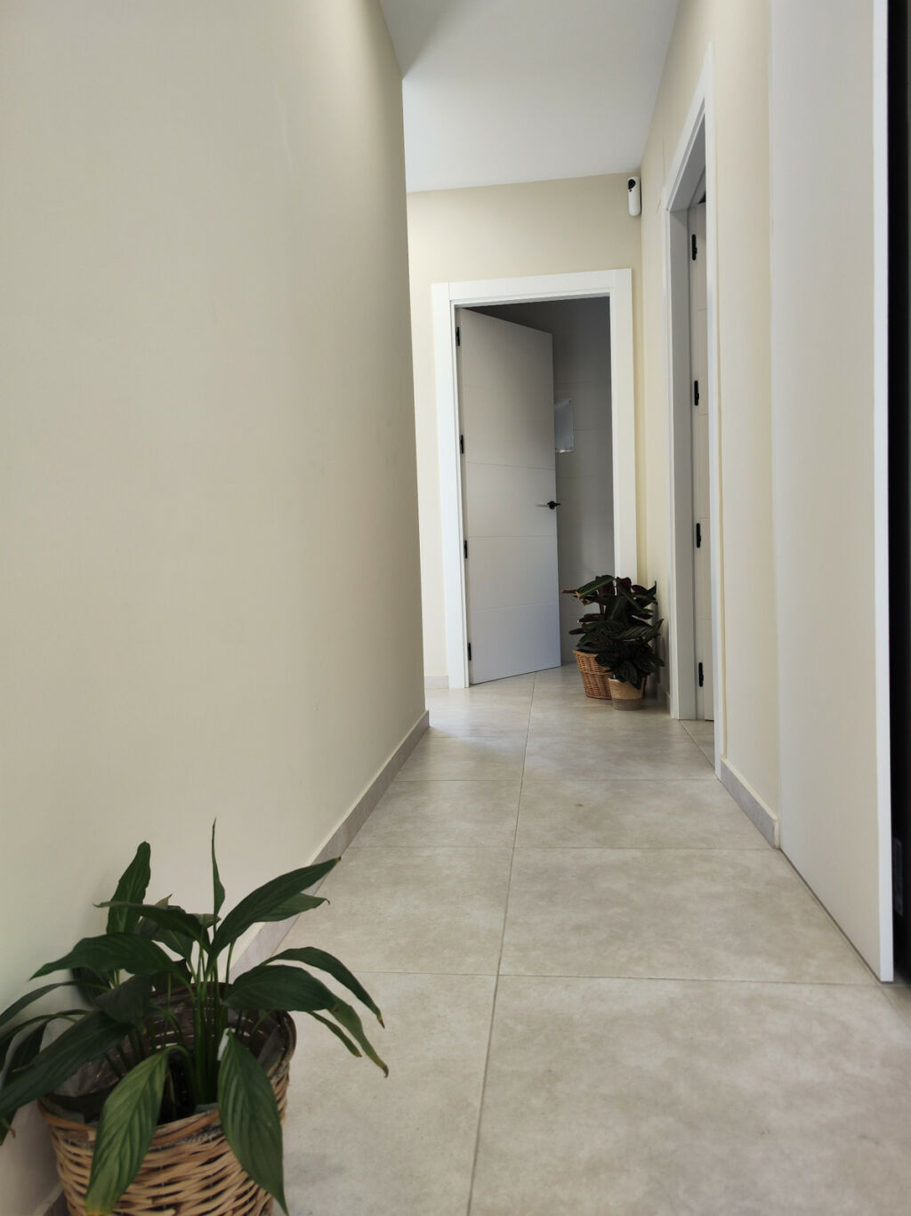 Detached Villa Aspe Alicante - image 15