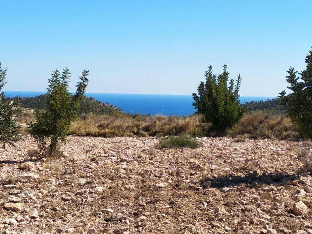 Land Relleu Alicante - image 16