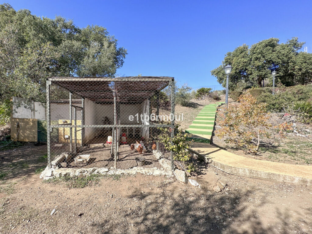 Finca - Cortijo Ojén Málaga - image 16