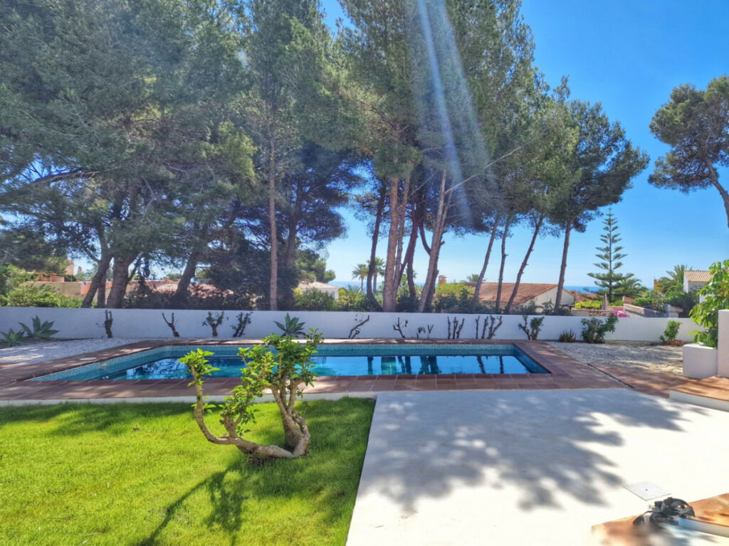 Detached Villa Javea Alicante - image 17