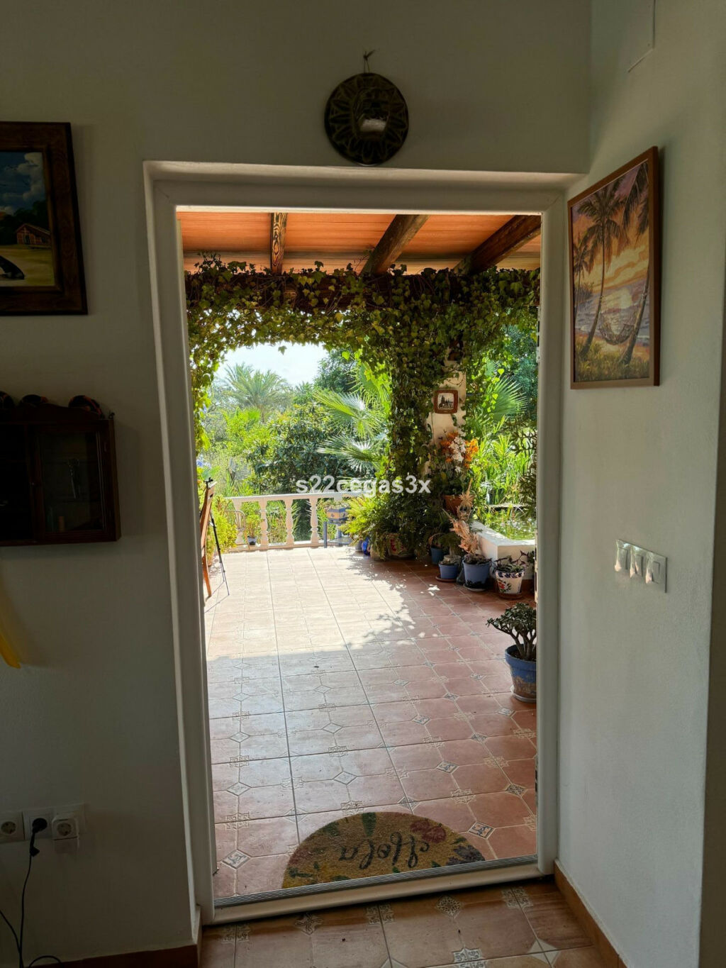 Finca - Cortijo Matola Alicante - image 18