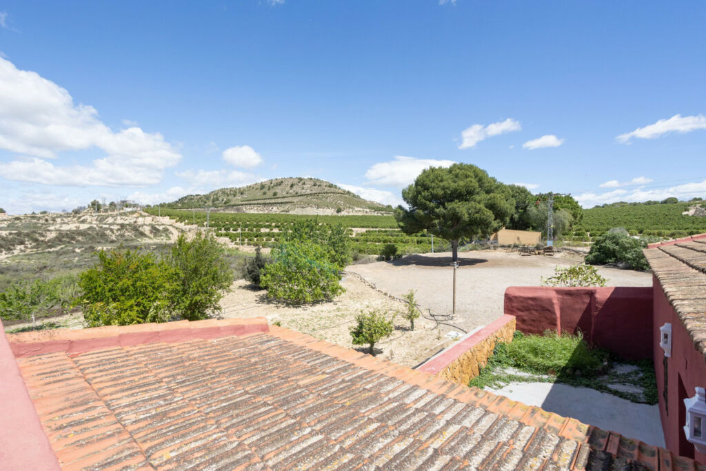 Detached Villa San Miguel de Salinas Alicante - image 19